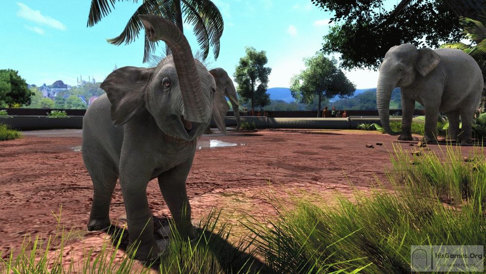 zoo tycoon 2 ultimate collection torrent tpb zoo tycoon 2 ultimate collection torrent tpb