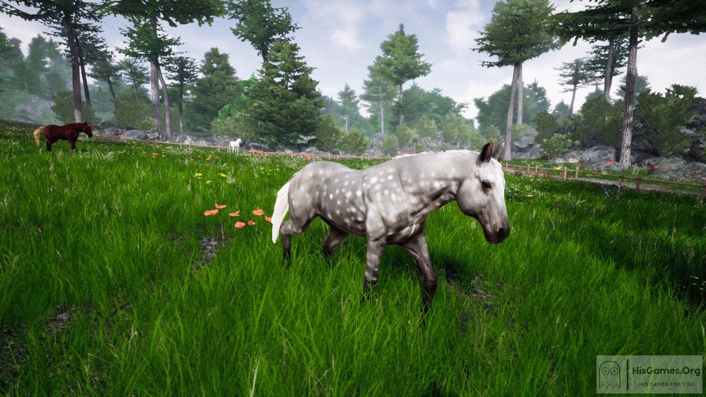 majesty 2 max hero horse majesty 2 max hero horse