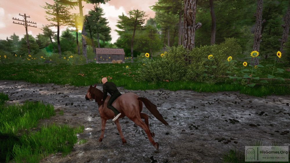 Torrent horse racing manager 2 friends Torrent horse racing manager 2 friends