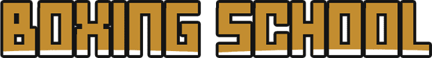 Boxing School Logo