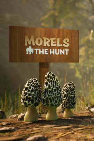 Morels: The Hunt Poster