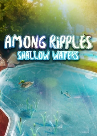 Among Ripples: Shallow Waters