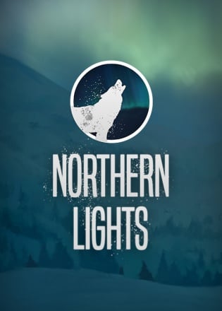 Northern lights poster