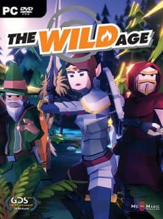 The Wild Age Poster