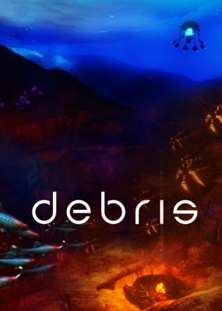 Debris Poster