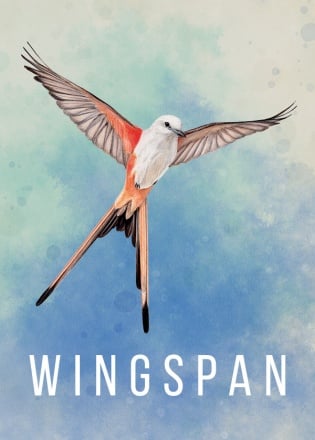 WINGSPAN Poster