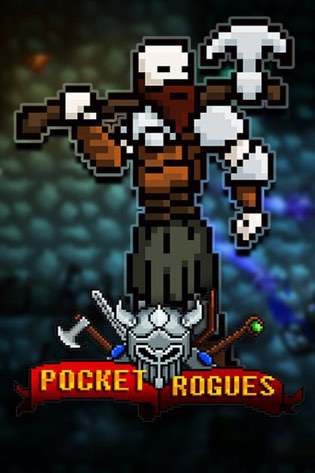Pocket rogue