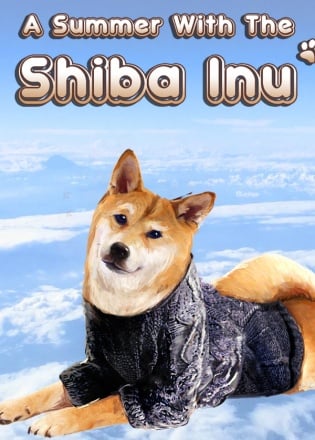 A summer with the shiba inu