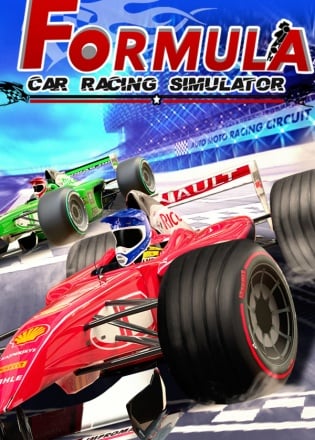 Formula Car Racing Simulator Poster