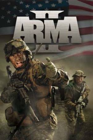 Arma 2 Poster