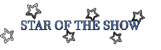 Star Of The Show Logo