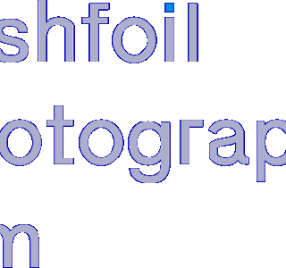 Lushfoil Photography Sim Logo