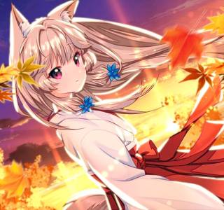 Fox Hime download for pc