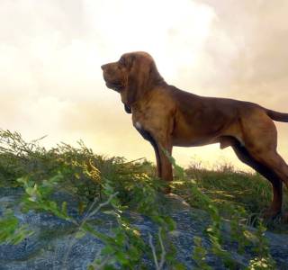 theHunter: Call of the Wild - Bloodhound free download pc