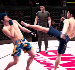 Ultimate MMA free download pc