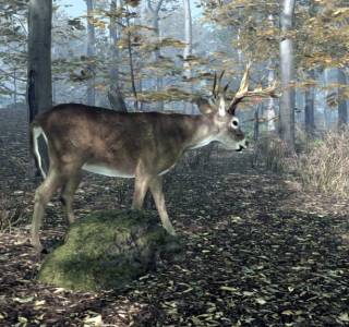 Pro Deer Hunting 2 free download pc