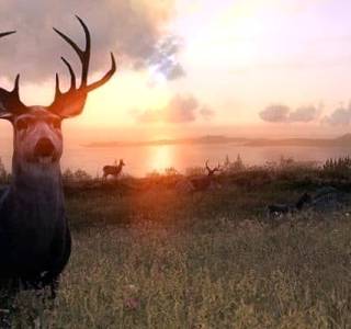 The Hunter download for pc