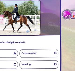 Equestrian Training free download pc
