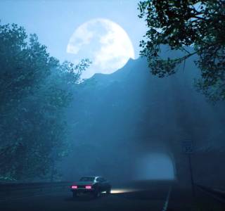 Welcome to PINEHILLS free download pc
