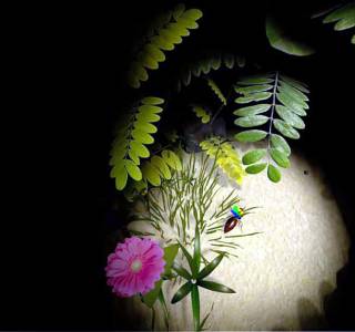 AntQueen 3D free download pc