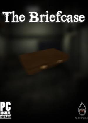 The Briefcase Poster