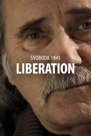Svoboda 1945: Liberation Game
