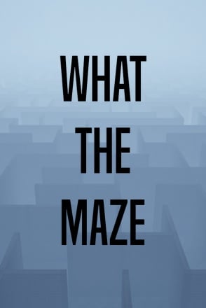 What The Maze
