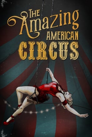 The Amazing American Circus Game