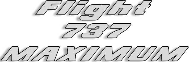 Flight 737 - MAXIMUM Logo