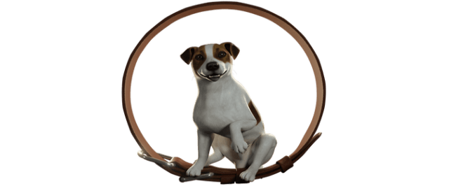 Animal shelter logo