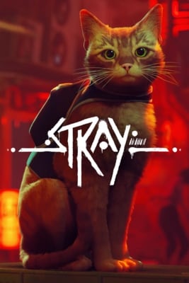 Download Stray