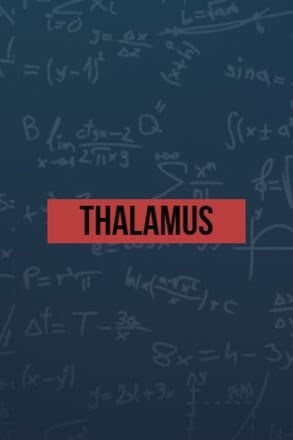 Download Thalamus