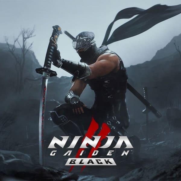 Ninja Gaiden 2 Black Poster