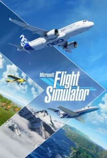 Microsoft Flight Simulator 202
