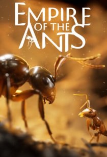 Empire of the Ants