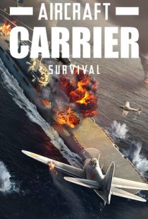 Aircraft Carrier Survival