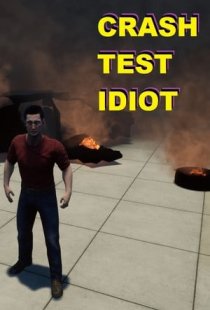 CRASH TEST IDIOT