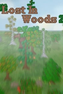 Lost In Woods 2