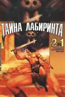 The Amazing Labyrinth