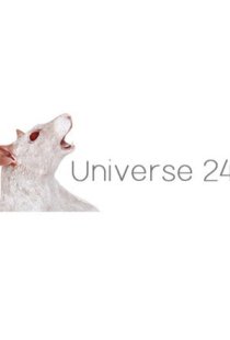 Universe 24