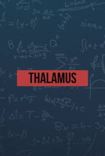 Thalamus