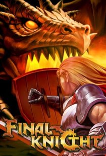 FINAL KNIGHT
