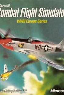 Microsoft Combat Flight Simula