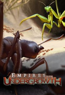 Empires of the Undergrowth