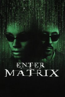 Enter the Matrix