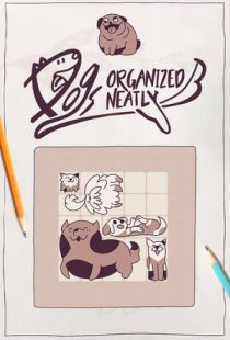Dogs Organized Neatly
