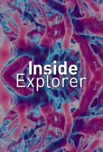 Inside Explorer