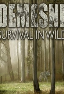 Demesne