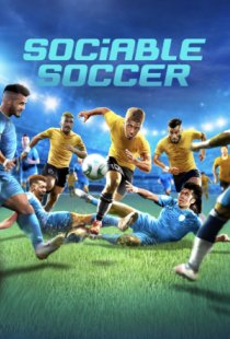 Sociable Soccer