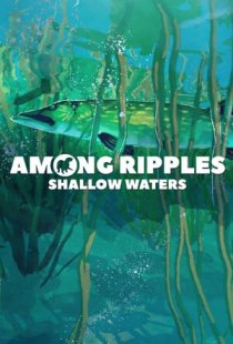 Among Ripples: Shallow Waters